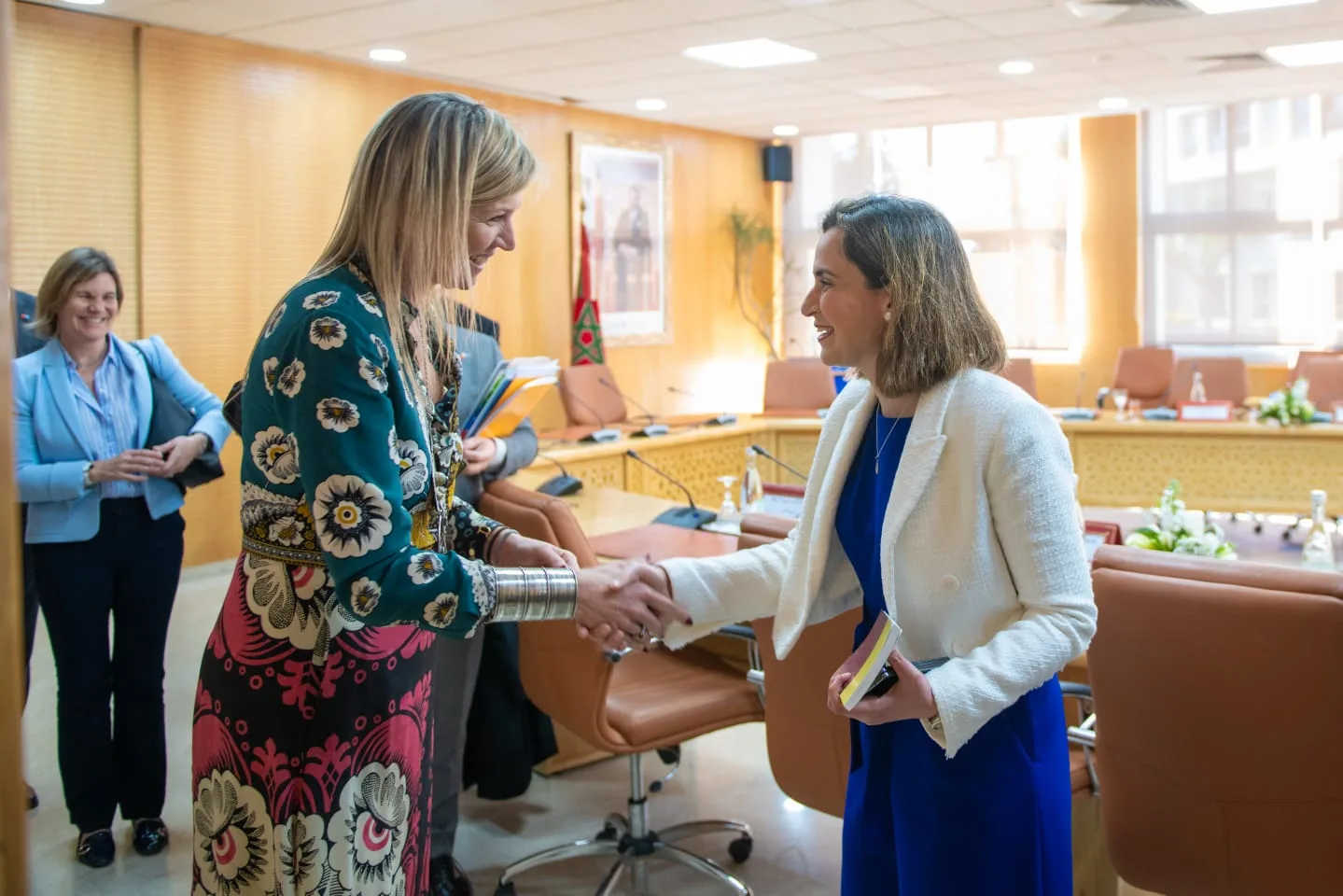 Diplomatic handshake
